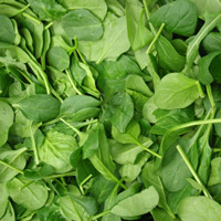 Spinach